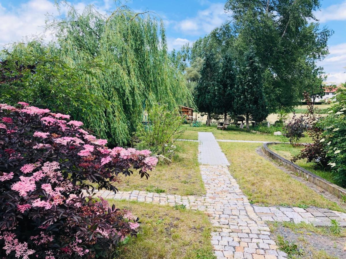 Hotel Weisse Muehle Breitenworbis Εξωτερικό φωτογραφία
