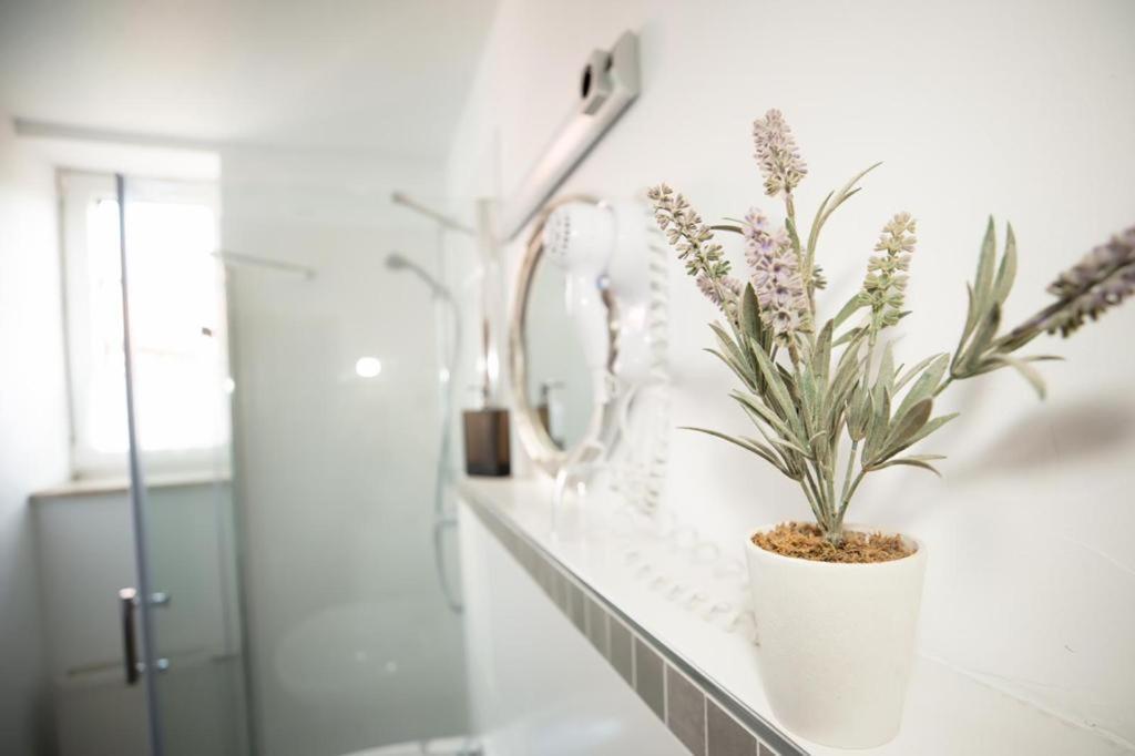 Hotel Weisse Muehle Breitenworbis Εξωτερικό φωτογραφία