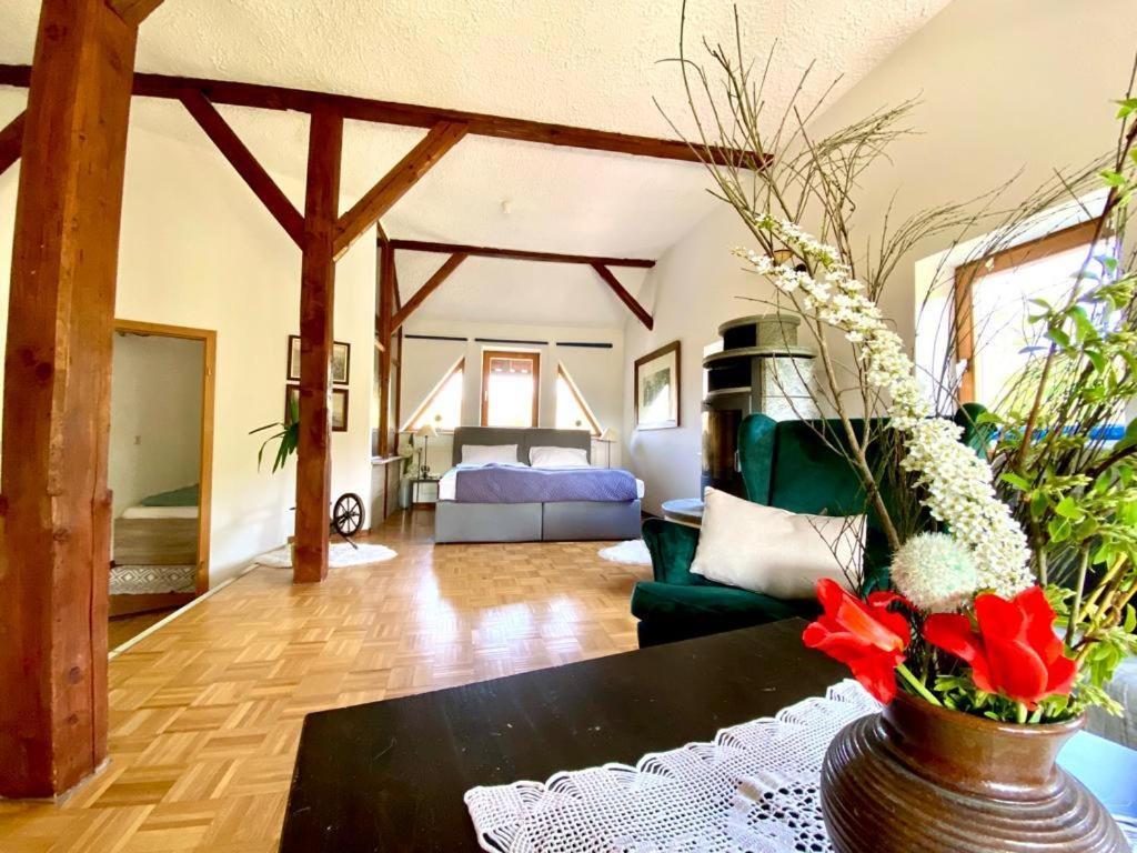 Hotel Weisse Muehle Breitenworbis Εξωτερικό φωτογραφία