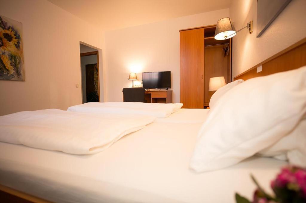 Hotel Weisse Muehle Breitenworbis Εξωτερικό φωτογραφία